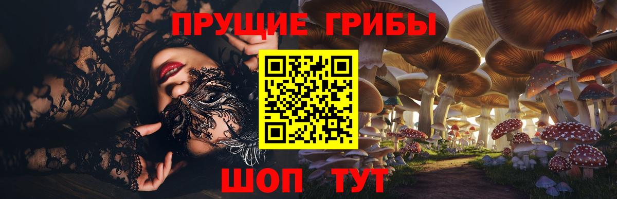 Галлюциногенные грибы Psilocybine cubensis Кореновск